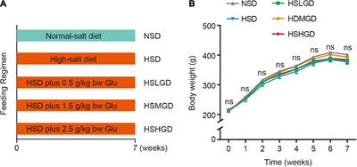 The association of dietary glutamine supplementation with the development of high salt-induced hypertension in rats
